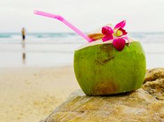 Stop brčkům: Zabíjejí mořský život ve velkém 