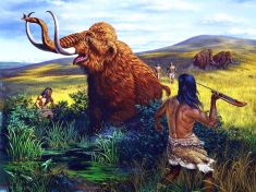 Co takhle dát si pegan: To nejlepší z paleo a veganské diety