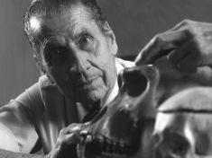 Fyziolog ovládal mozky pomocí implantátů už v minulém století