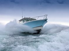 Ryb v mořích ubývá i kvůli řevu motorových člunů