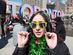 Kanadě chybí už jen krok k legalizaci konopí