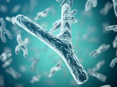 Proč jsou muži slabší pohlaví? Za vším hledejte chromozomy  