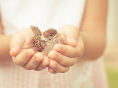 Jak ve světě zaměřeném na výkon vychovat laskavé dítě