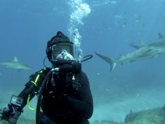 Bear Grylls: muž, který přežije úplně všechno