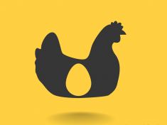 VELKÝ HOLKY: Jak vy na slepice, tak ony vejce