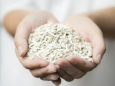 Hempcrete: Stavíme dům z konopného betonu