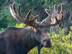 Koho zabít, abychom zachránili svět