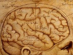 Chcete zachovat vzpomínky? "Zálohování mozku" už je tady