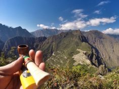 Slavná kalifornská vinice se mění v konopnou plantáž