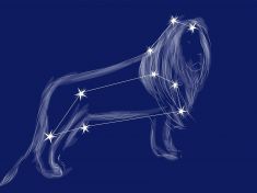 Lvi v květnu: Vyčkávejte a pak se vrhněte na svou kořist