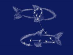 Ryby v květnu: Naberte sílu z přírody