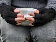 Největší inteligenci mají farmáři po sklizni