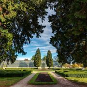 Průhled na skleník plný vzácných kousků