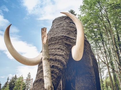 Na Dolní Moravu se po 40 000 letech vrátil mamut