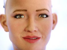 Sophia aneb myčka s lidskou tváří a se čtyřkami