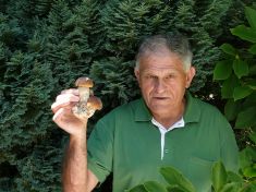 I u nás rostou houby, které fungují jako afrodisiakum