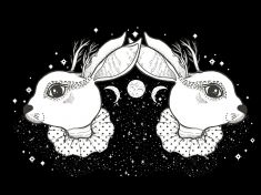 Mayský astrolog: Začíná králičí období humoru a radosti. S dárky počkejte