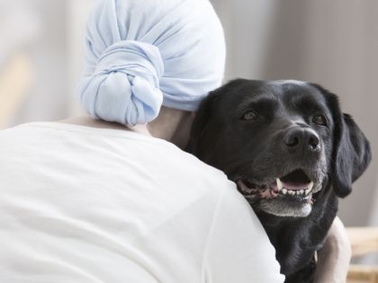 Psi dokážou u člověka odhalit čím dál víc nemocí. Poznají cukrovku i rakovinu