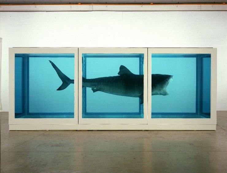 damienhirst zralok