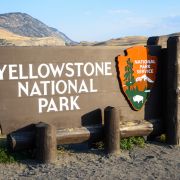 Pohádka z Yellowstonu: Jak vlci zachránili borůvky, bobry i les