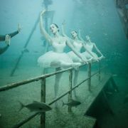 Podmořská galerie spojuje svět pod hladinou se snímky z vídeňského života