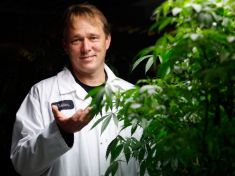 Pivovar prolomil svou investicí tabu. Konopný byznys strmě roste