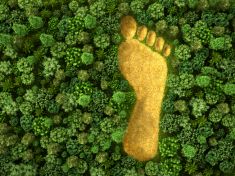 Od 1. srpna spotřebováváme na dluh. Bereme si ze Země víc, než nám nabízí