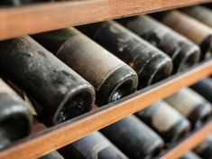 Na vínu si můžete buď pochutnat, nebo díky němu zbohatnout