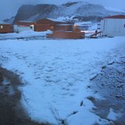 Chcete žít v Antarktidě? Nechejte si vyoperovat slepé střevo