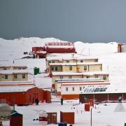 Chcete žít v Antarktidě? Nechejte si vyoperovat slepé střevo
