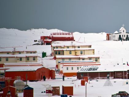 Chcete žít v Antarktidě? Nechejte si vyoperovat slepé střevo