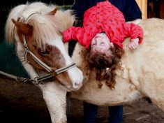 Kde si doktor neví rady, tam ještě pořád může pomoct kůň