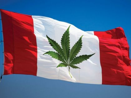 V Kanadě začíná konopná revoluce. Do legalizace zbývá měsíc