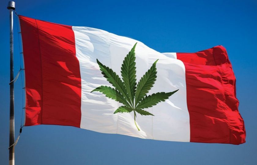 V Kanadě začíná konopná revoluce. Do legalizace zbývá měsíc