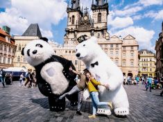 Jak zbavit Staré Město pand a medvědů? Praha bojuje proti vizuálnímu smogu