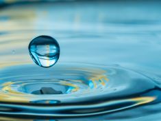 Na Výstavišti se zjeví Akvapark. Lidé se mohou namočit a poučit o vodě