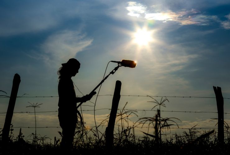 mikrofon priroda 1384460315