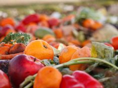 Happy hours už nejsou jen v barech. V obchodech přispívají k šetření s potravinami
