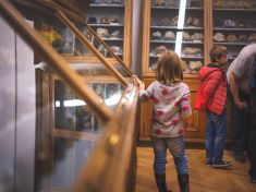 Proč jít na Noc vědců? Dovíte se víc o ekologii a můžete si třeba i zapitvat