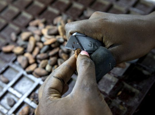 Zhořkne vám čokoláda? Na plantážích kakaovníků pořád otročí děti