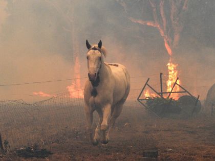 Hořící Austrálie? Na Zemi zuří požáry pořád, prakticky nepřetržitě