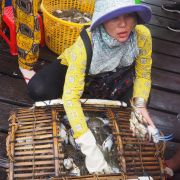 Tradiční prodej krabů v Kepu