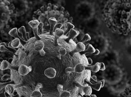 Je Covid-19 mýtickou pandemií, o níž psal česko-kanadský vědec Václav Smil?