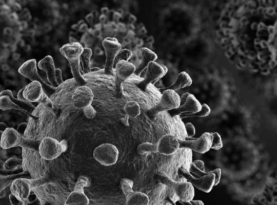 Je Covid-19 mýtickou pandemií, o níž psal česko-kanadský vědec Václav Smil?