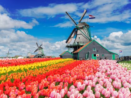 Holandsko je ekologický ráj. Ale jen na první pohled! Jaká je skutečnost?