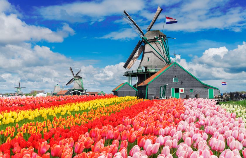 Holandsko je ekologický ráj. Ale jen na první pohled! Jaká je skutečnost?