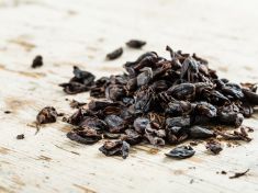 Snažíte se omezit přísun kofeinu? Zkuste kávový čaj