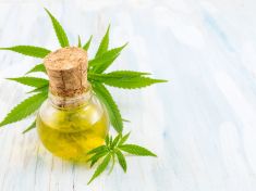 WHO prozkoumá léčivou sílu konopí. Dočkáme se legalizace? 