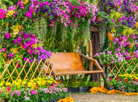 Manuál na ekozahradničení: Jak vytvořit zahradu, kterou nemusíte plít