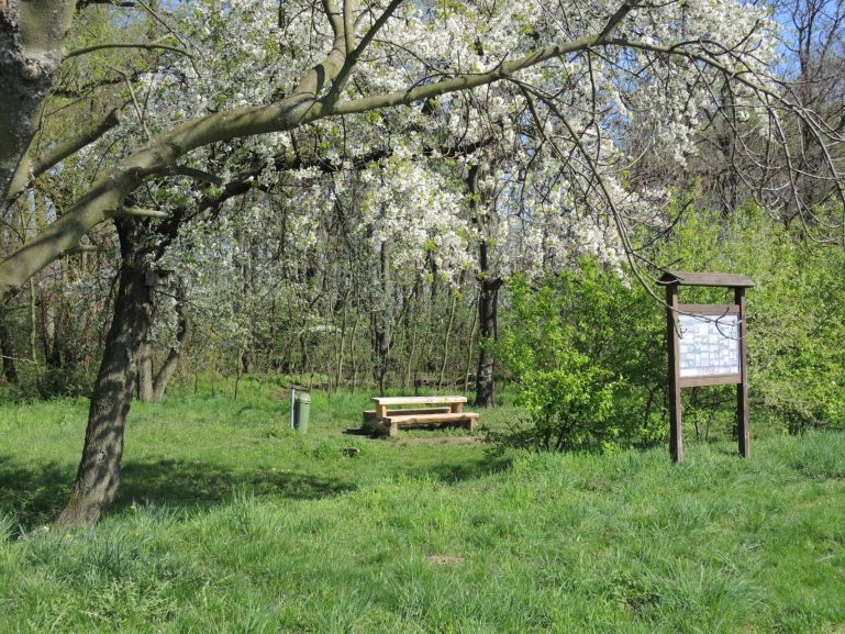 biokoridor hloucela 6